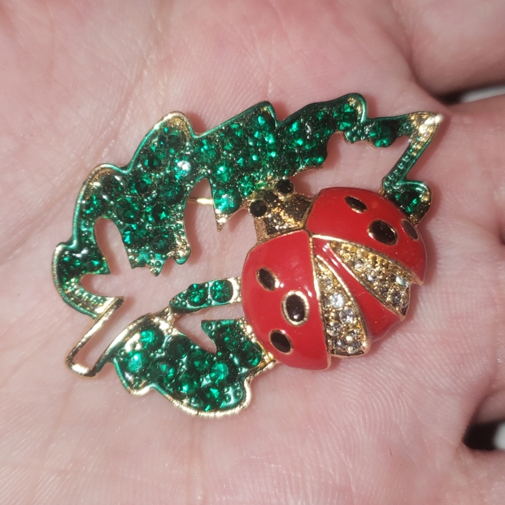 Betsey Johnson Lady Bug Pin!